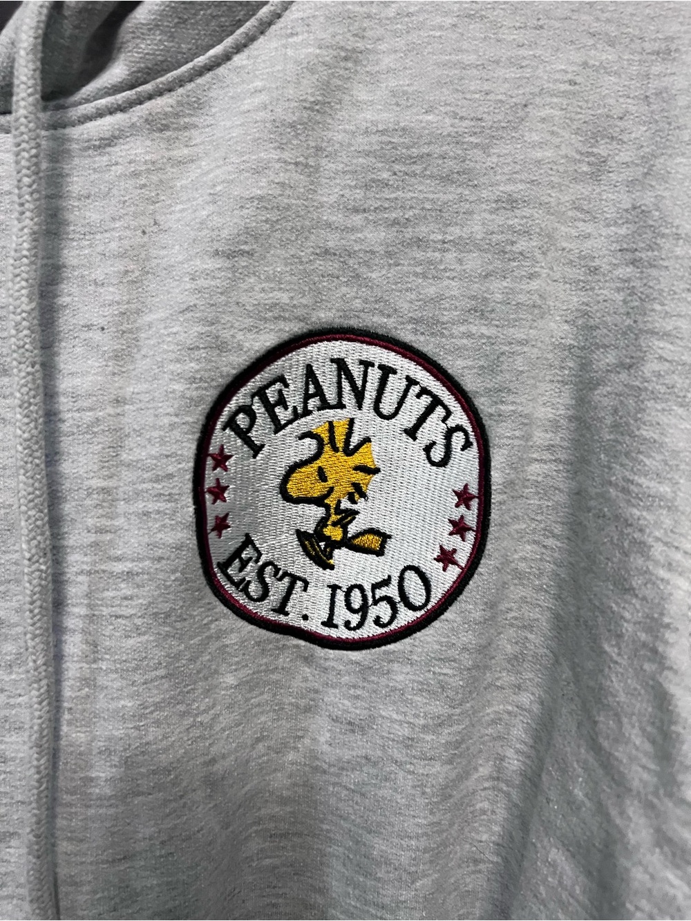 Peanuts Snoopy Hoodie XXL 20 Gray 2025 Freeze Woodstock 50 Back Graphic - Picture 2 of 6